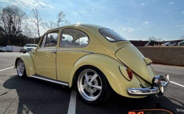 Volkswagen-Beetle-1965-42475-4