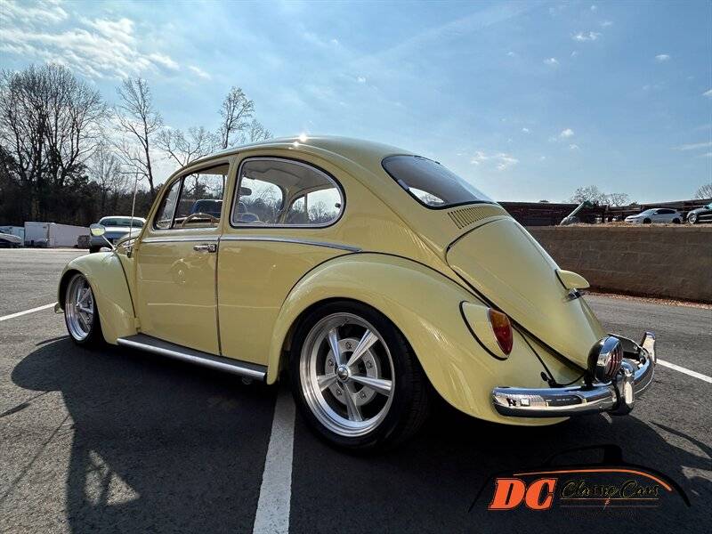 Volkswagen-Beetle-1965-42475-4