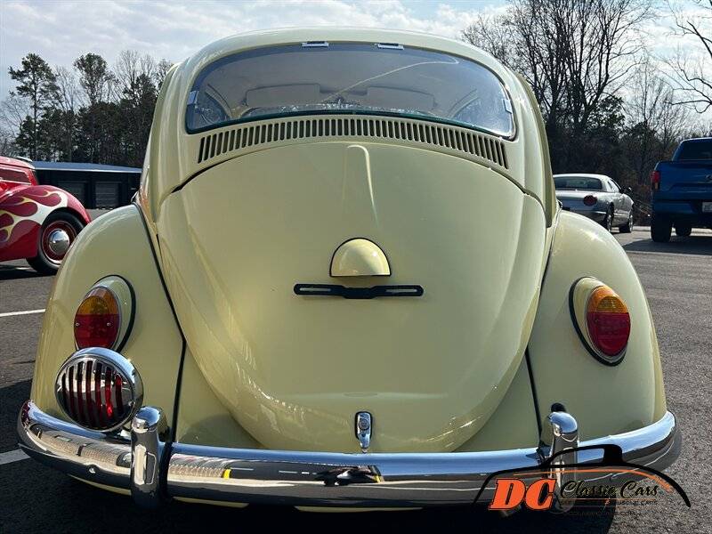 Volkswagen-Beetle-1965-42475-5