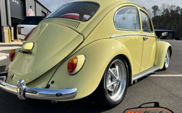 Volkswagen-Beetle-1965-42475-6