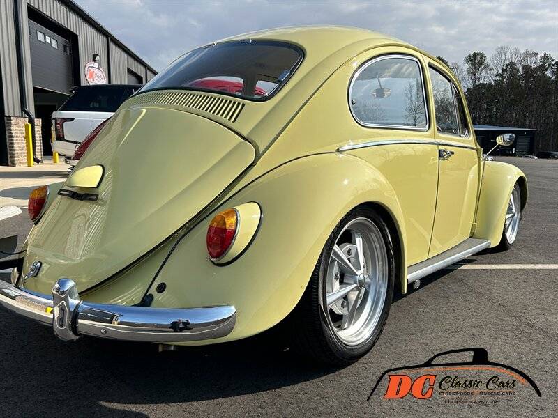 Volkswagen-Beetle-1965-42475-6