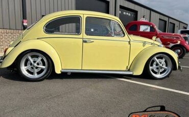 Volkswagen-Beetle-1965-42475-7