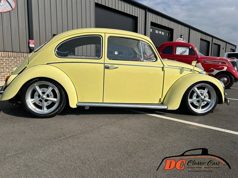 Volkswagen-Beetle-1965-42475-7