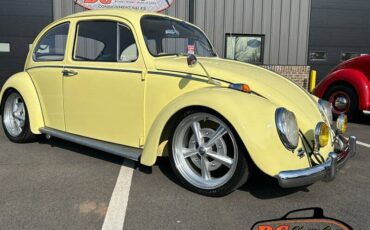 Volkswagen-Beetle-1965-42475-8