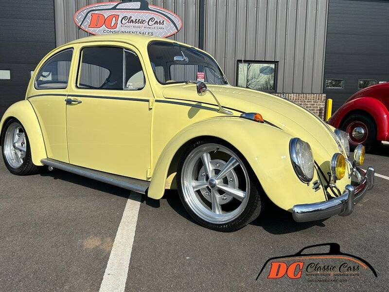 Volkswagen-Beetle-1965-42475-8