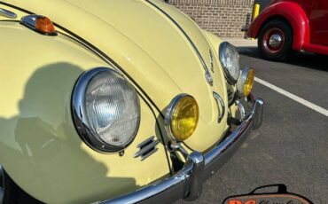 Volkswagen-Beetle-1965-42475-9