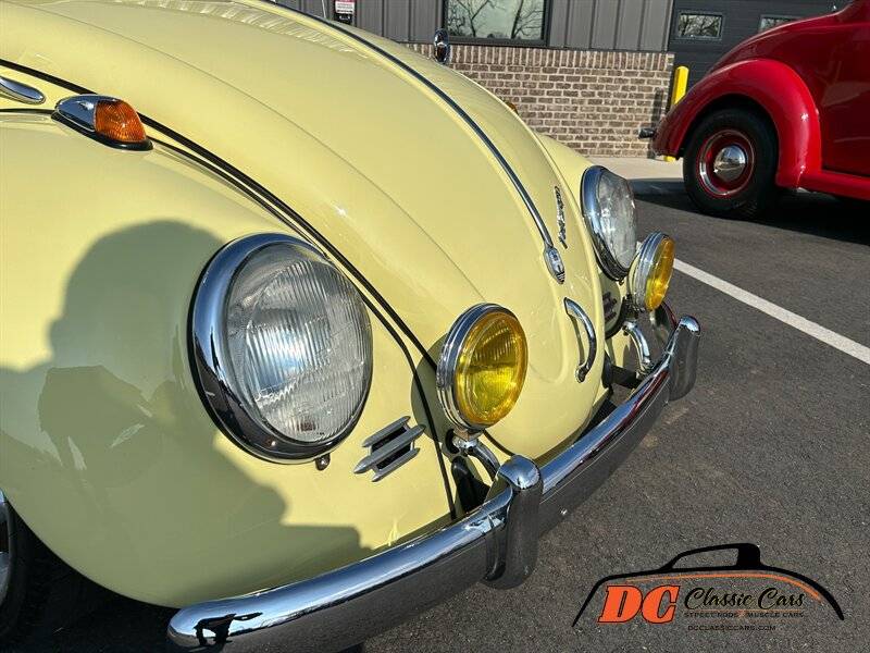 Volkswagen-Beetle-1965-42475-9