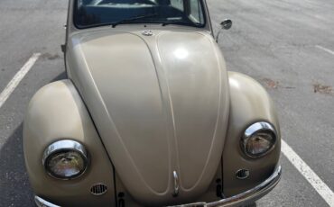 Volkswagen-Beetle-1967-custom-8047