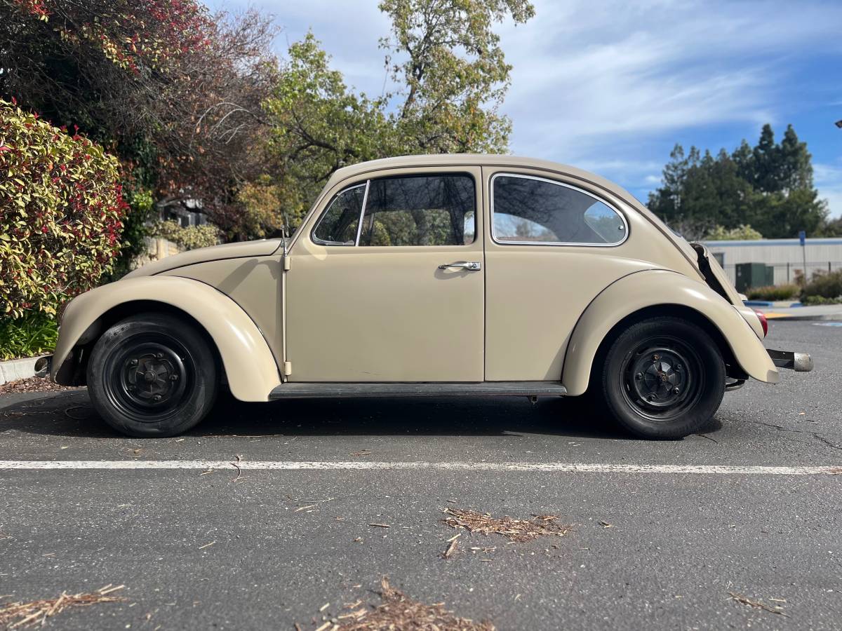 Volkswagen-Beetle-1967-custom-8047-5