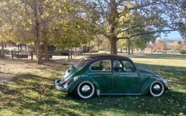 Volkswagen-Beetle-1970-75652-18