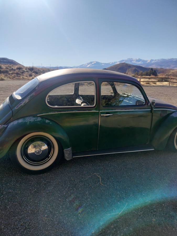 Volkswagen-Beetle-1970-75652-4