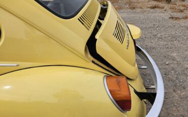 Volkswagen-Beetle-1973-yellow-402335-12