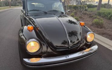 Volkswagen-Beetle-1979-black-170648-1