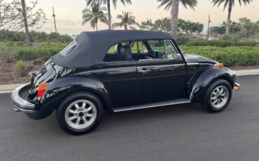 Volkswagen-Beetle-1979-black-170648-5