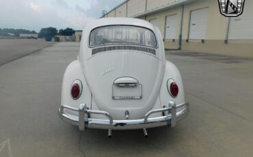 Volkswagen-Beetle-Classic-1966-White-Red-64065-4