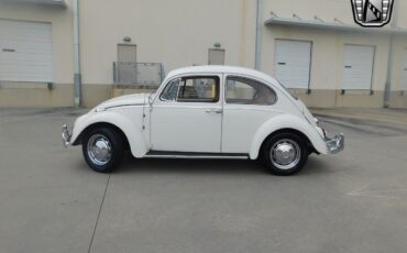 Volkswagen-Beetle-Classic-1966-White-Red-64065-5