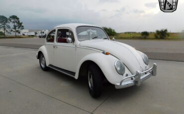 Volkswagen-Beetle-Classic-1966-White-Red-64065-6