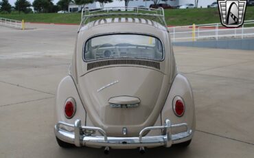 Volkswagen-Beetle-Classic-1967-Brown-Tan-63867-4