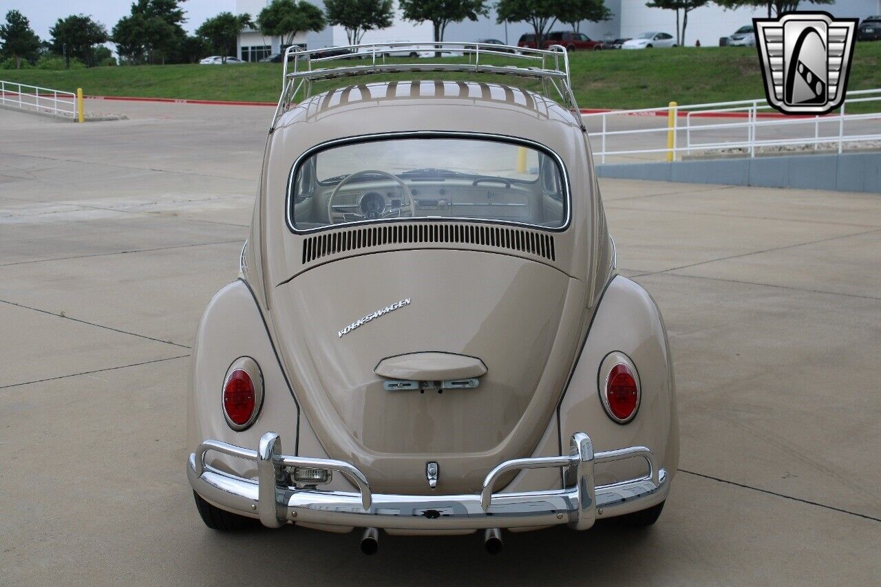 Volkswagen-Beetle-Classic-1967-Brown-Tan-63867-4