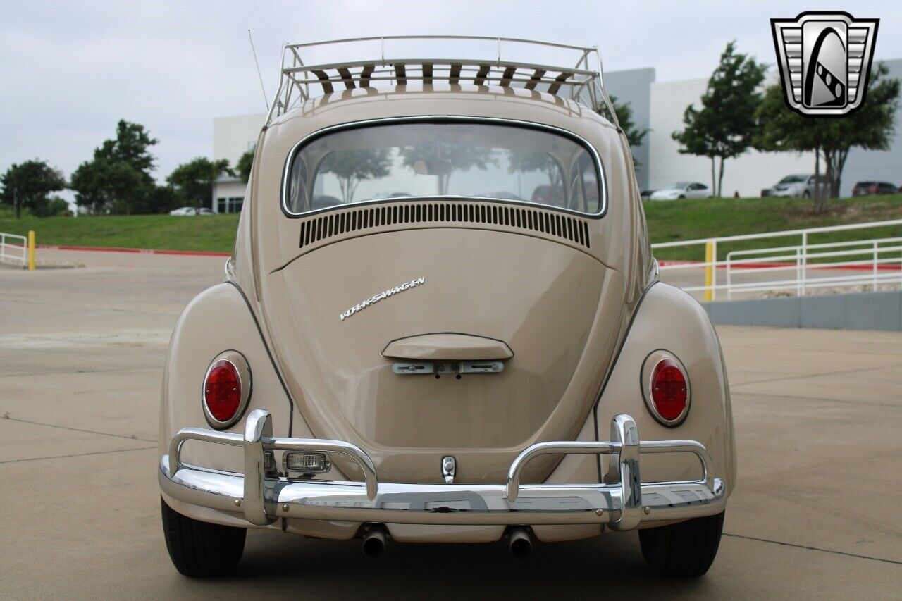 Volkswagen-Beetle-Classic-1967-Brown-Tan-63867-5