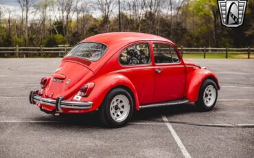 Volkswagen-Beetle-Classic-1968-Red-Black-137253-6