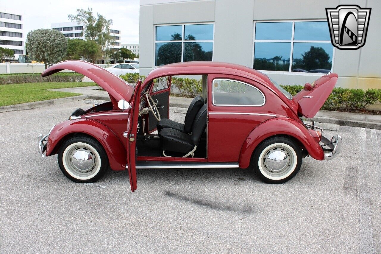 Volkswagen-Beetle-Classic-1969-Red-Black-94077-10