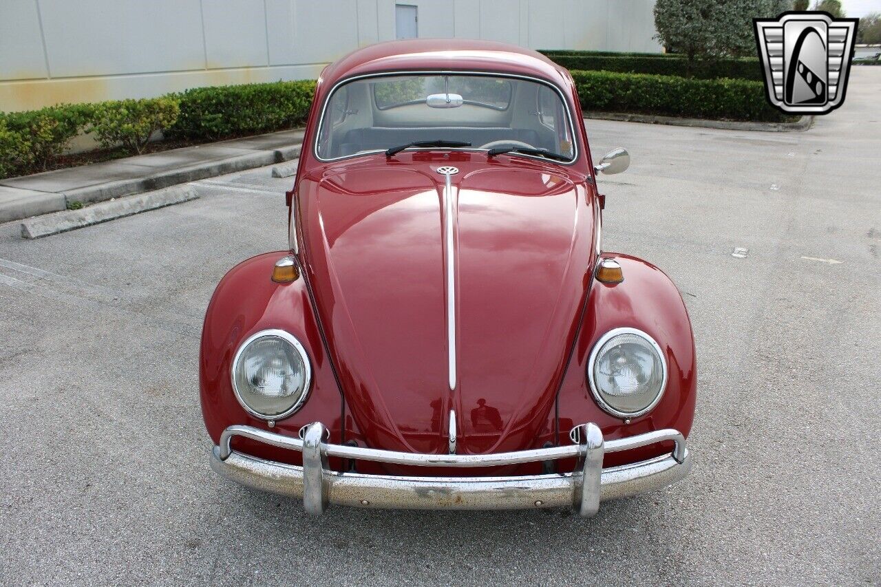 Volkswagen-Beetle-Classic-1969-Red-Black-94077-3