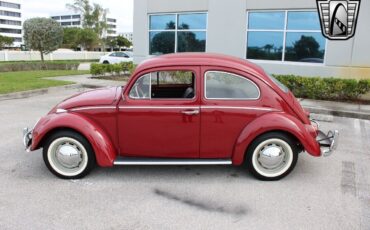 Volkswagen-Beetle-Classic-1969-Red-Black-94077-4