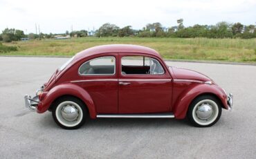 Volkswagen-Beetle-Classic-1969-Red-Black-94077-8