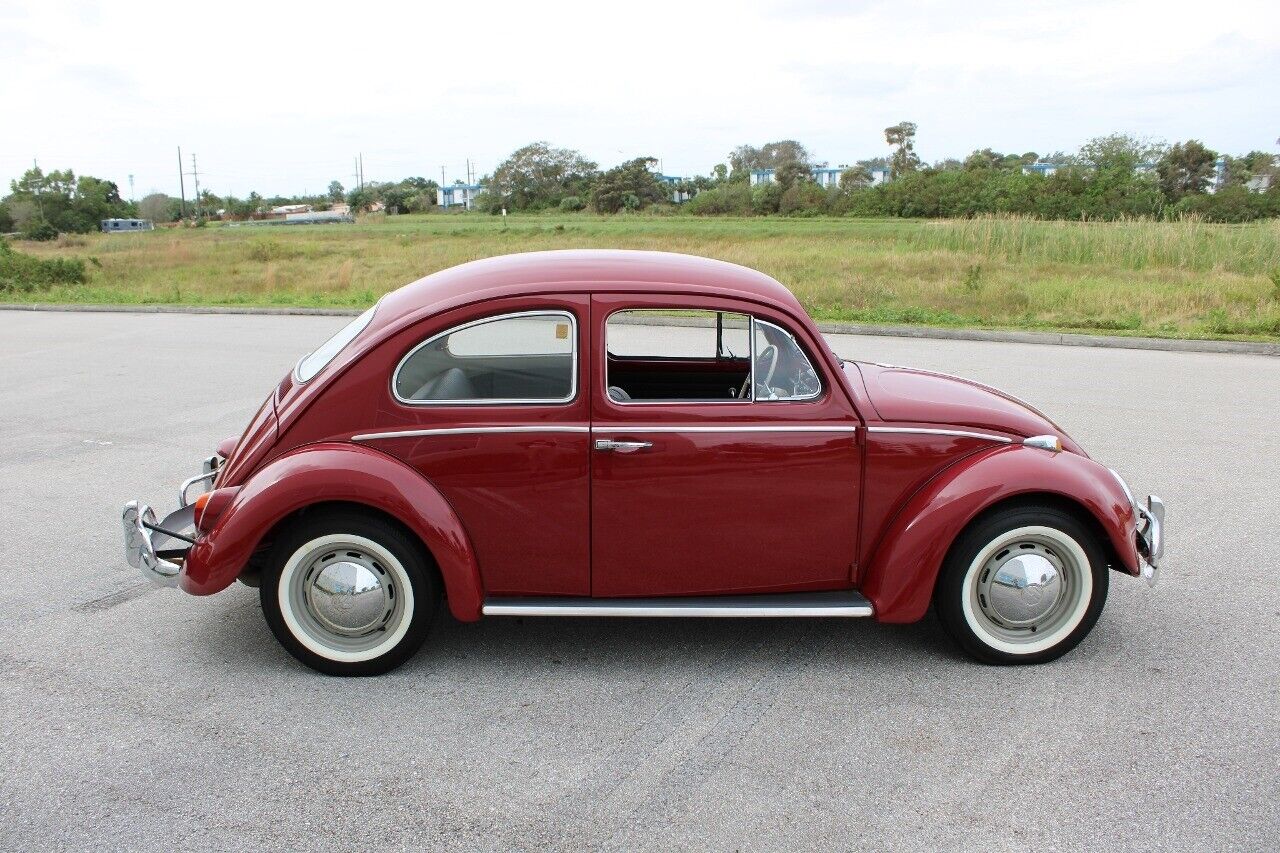 Volkswagen-Beetle-Classic-1969-Red-Black-94077-8