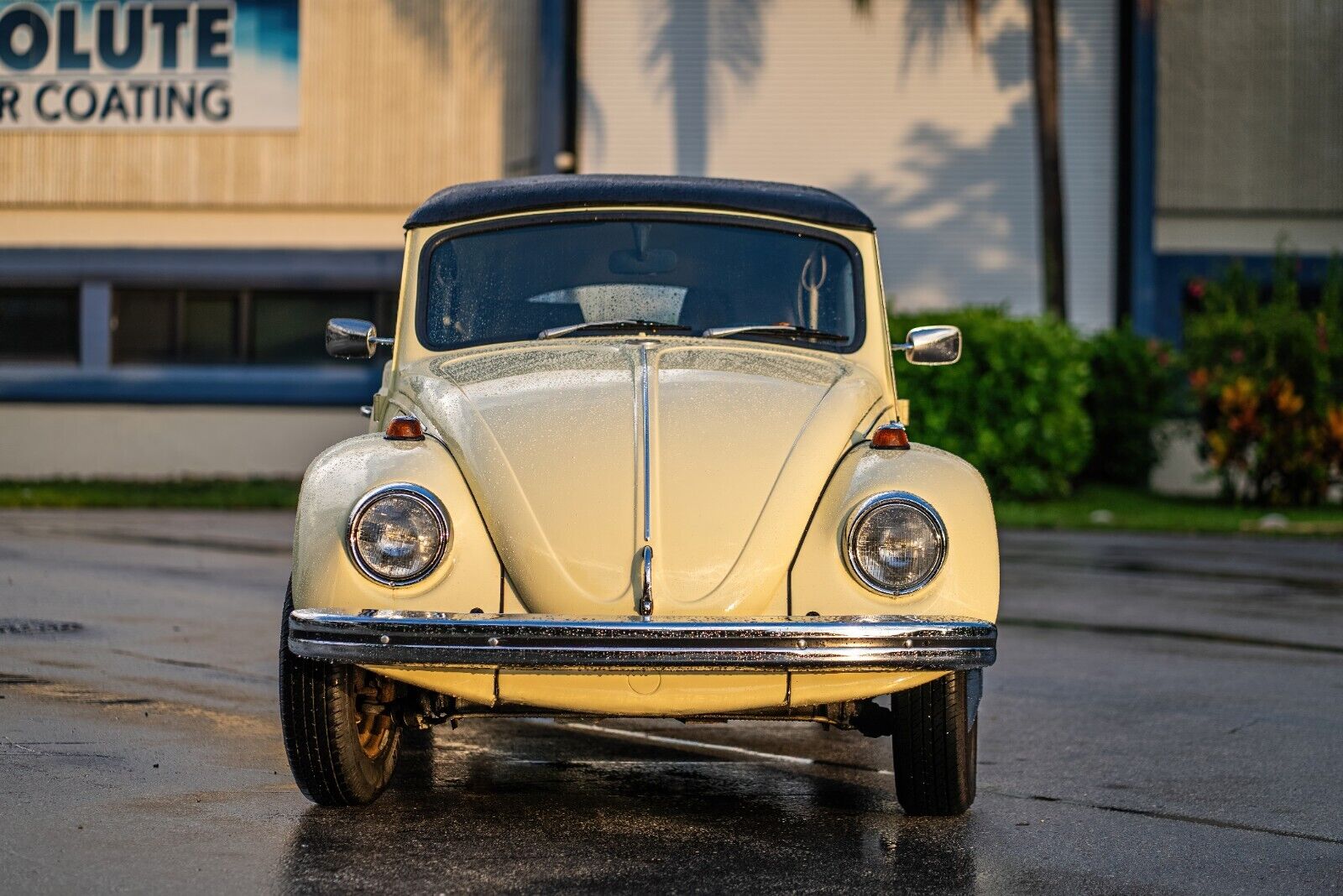 Volkswagen-Beetle-Classic-1969-Yellow-Black-0-10