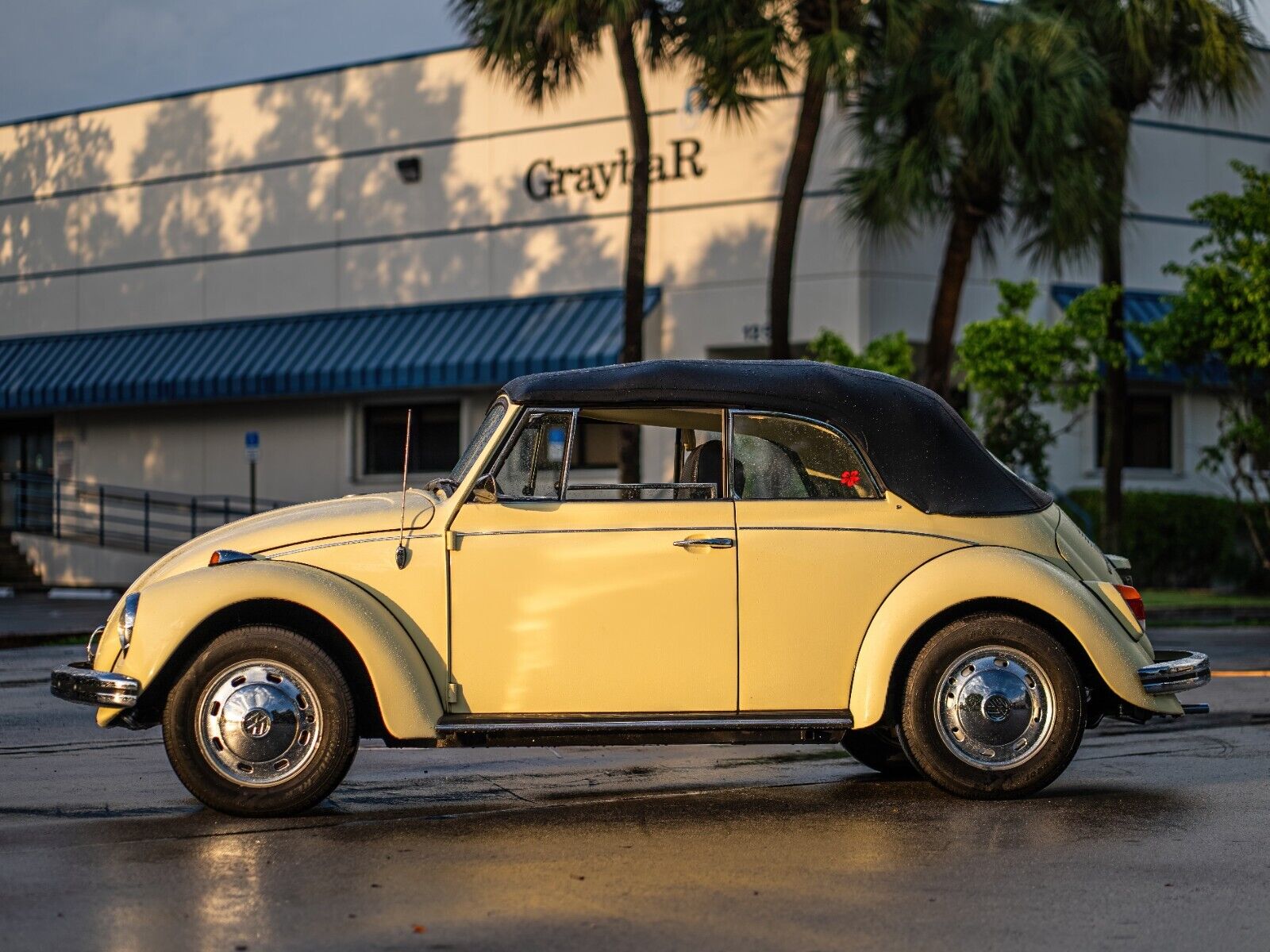 Volkswagen-Beetle-Classic-1969-Yellow-Black-0-13