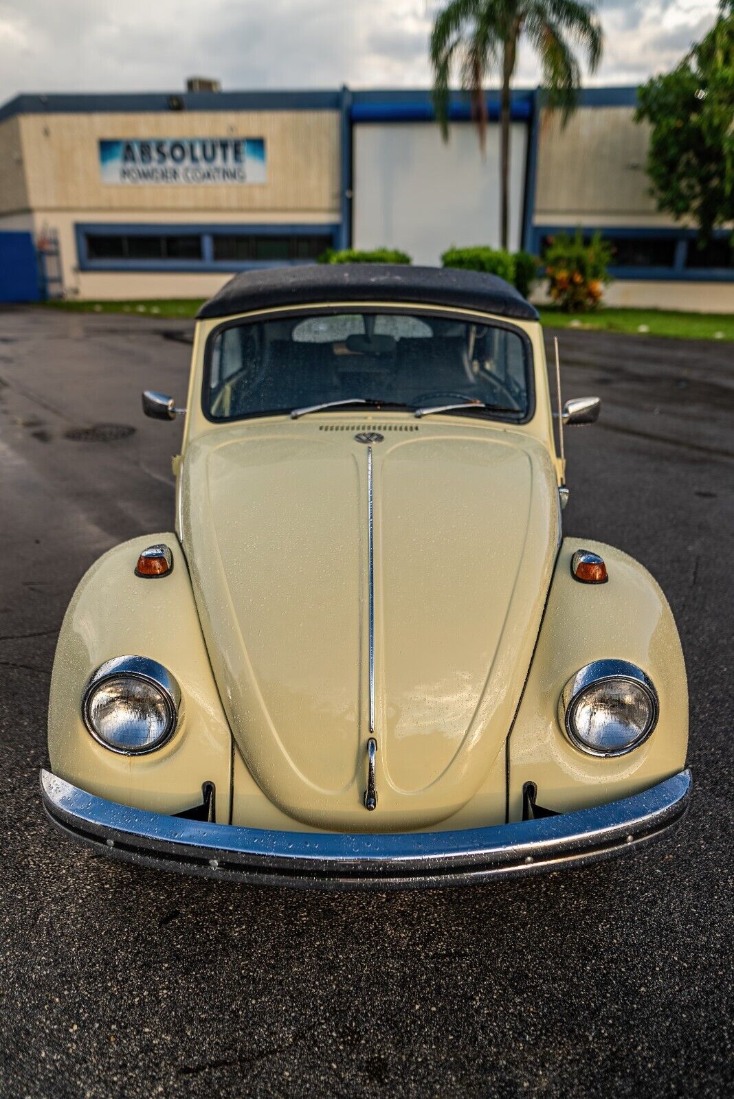 Volkswagen-Beetle-Classic-1969-Yellow-Black-0-9