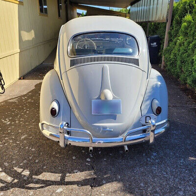 Volkswagen-Beetle-Classic-Berline-1960-Gray-Gray-215652-4