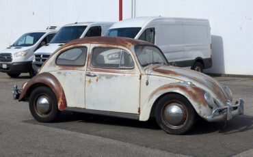 Volkswagen Beetle - Classic Berline 1963