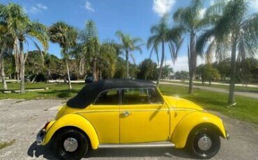 Volkswagen-Beetle-Classic-Cabriolet-1968-Yellow-Black-33880-4