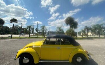 Volkswagen-Beetle-Classic-Cabriolet-1968-Yellow-Black-33880-9