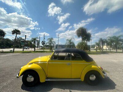 Volkswagen-Beetle-Classic-Cabriolet-1968-Yellow-Black-33880-9