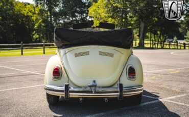 Volkswagen-Beetle-Classic-Cabriolet-1969-Yellow-Black-152374-5