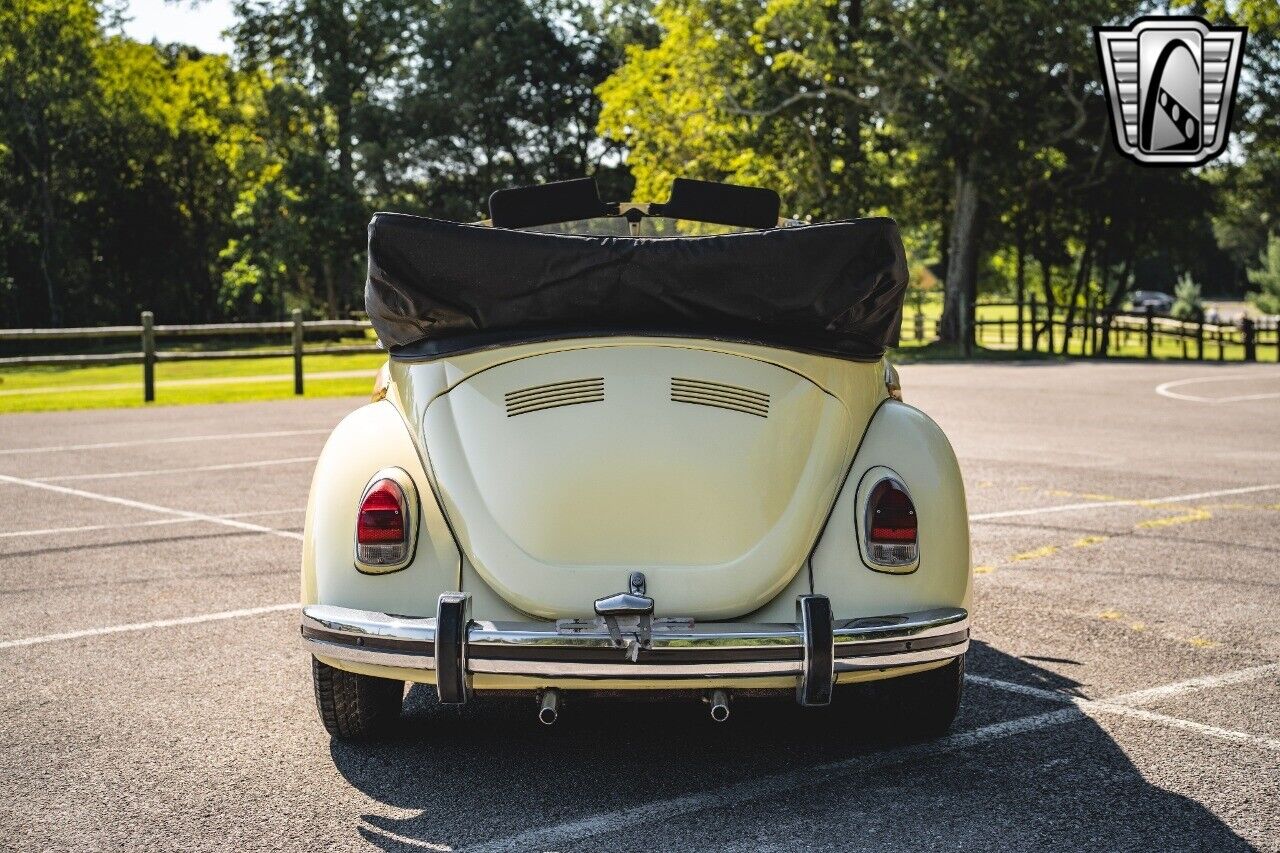 Volkswagen-Beetle-Classic-Cabriolet-1969-Yellow-Black-152374-5