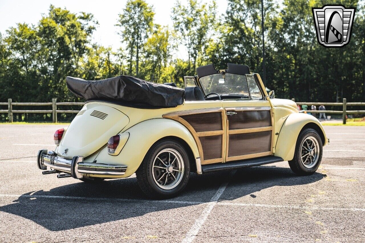 Volkswagen-Beetle-Classic-Cabriolet-1969-Yellow-Black-152374-6