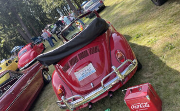 Volkswagen-Beetle-Classic-Cabriolet-1970-Red-Black-96561-17