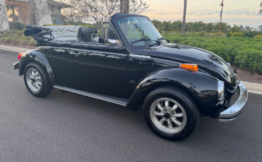 Volkswagen-Beetle-Classic-Cabriolet-1979-Black-Black-170648-19