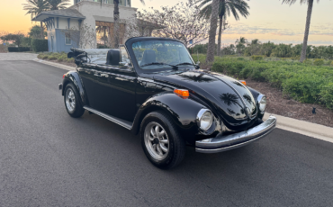 Volkswagen-Beetle-Classic-Cabriolet-1979-Black-Black-170648-36