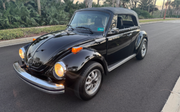 Volkswagen-Beetle-Classic-Cabriolet-1979-Black-Black-170648-39