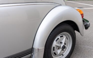 Volkswagen-Beetle-Classic-Cabriolet-1979-Silver-Black-6919-10