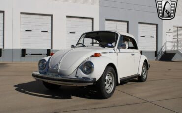 Volkswagen-Beetle-Classic-Cabriolet-1979-White-White-71119-2