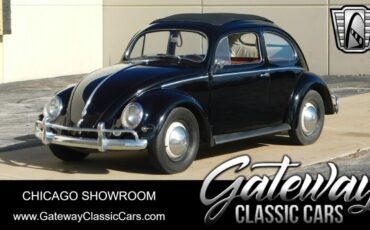 Volkswagen Beetle - Classic Coupe 1956