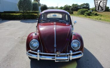 Volkswagen-Beetle-Classic-Coupe-1959-Burgandy-Red-66533-2