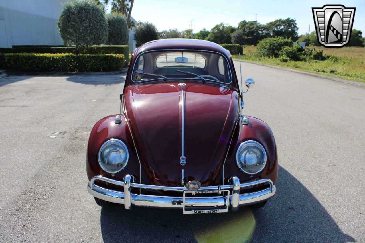 Volkswagen-Beetle-Classic-Coupe-1959-Burgandy-Red-66533-2